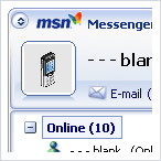 msn1.gif