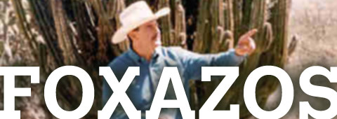 foxazos.jpg