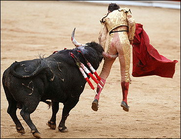 Te chingaron cabrón